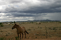 Monsoon rains
